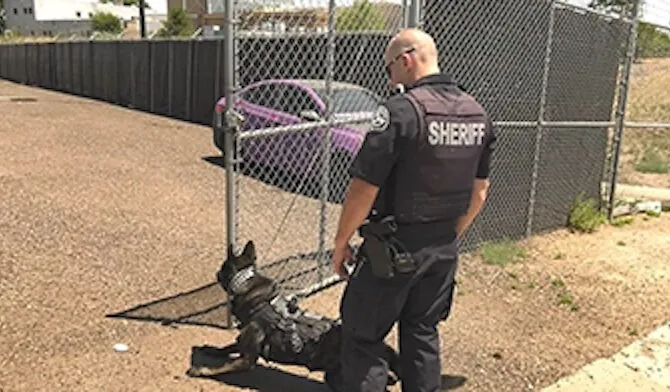 An Adams County Sheriff standing with a K9 officer by a fence in a parking area.